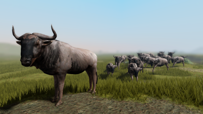Animal World screenshot