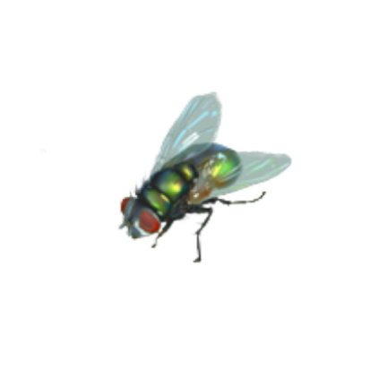  MM2 Smart NPC Testings (Aim Practice) screenshot