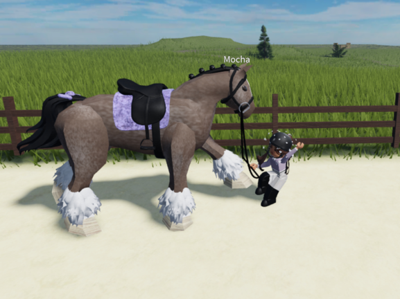 National Equine Competition screenshot