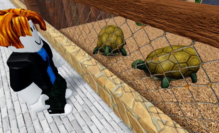 Crazy Zoo screenshot