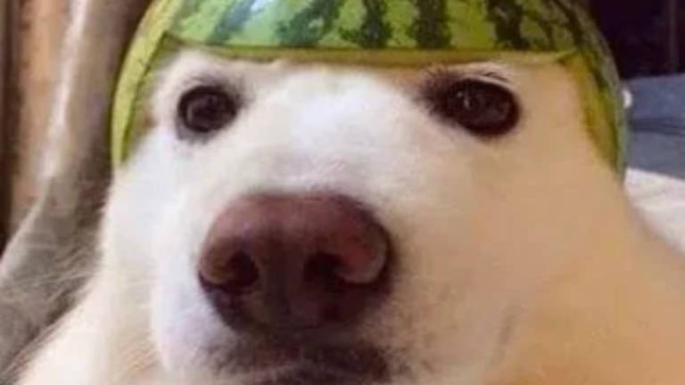 🚪Survive EI EI EI Steak In Area 51🔦 screenshot