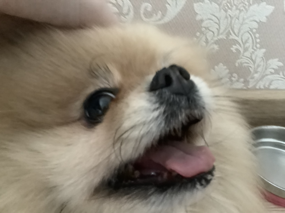 Twisting tornado screenshot