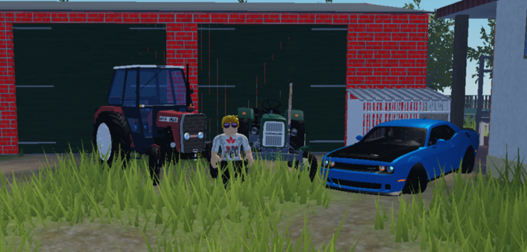 Polish Village 2009 V2 screenshot